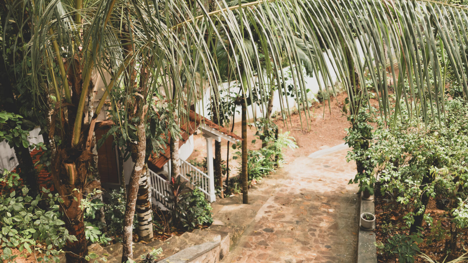 The garden path through the palms at Rama Shala